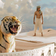 Illustration for article titled Oscar-O-Meter™: The A.V. Club’s 2012 fall prestige-movie guide, part 2